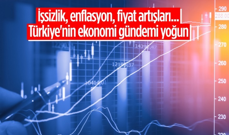 Türkiye'nin Ekonomi Gündemi