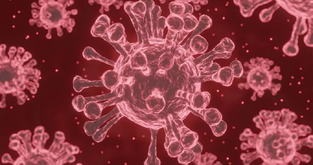 Eris Virüsü Nedir?