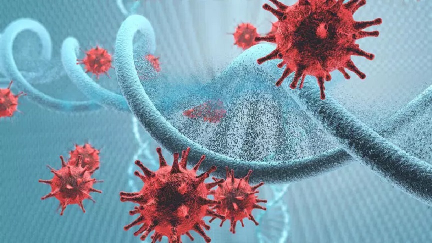 Eris Virüsü Neden Önemli ve Bulaşı Nasıl Önleyebiliriz?