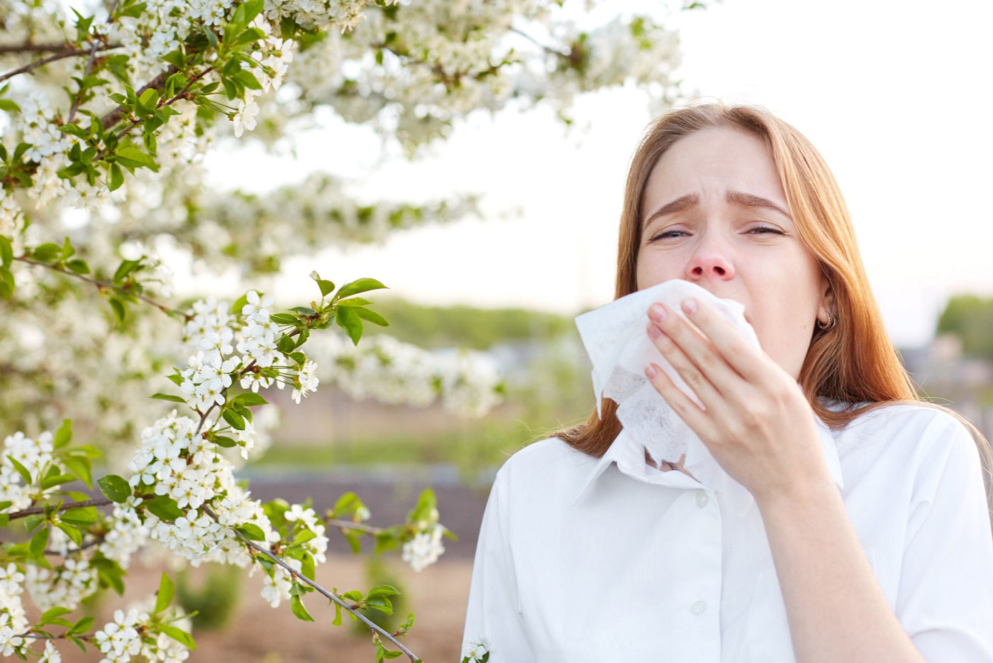 Allerji Nedir?